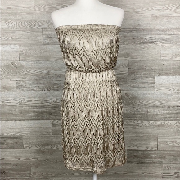 NWT Studio Y Silver Tan StrapLess Dress - Picture 1 of 7